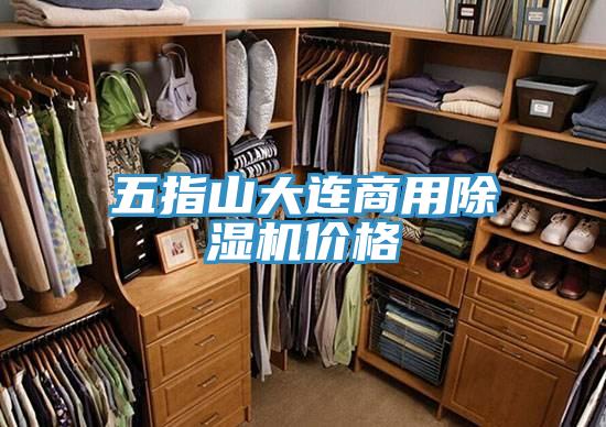 五指山大連商用PICACG哔咔官网入口價格