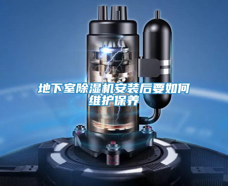 地下室PICACG哔咔官网入口安裝後要如何維護保養