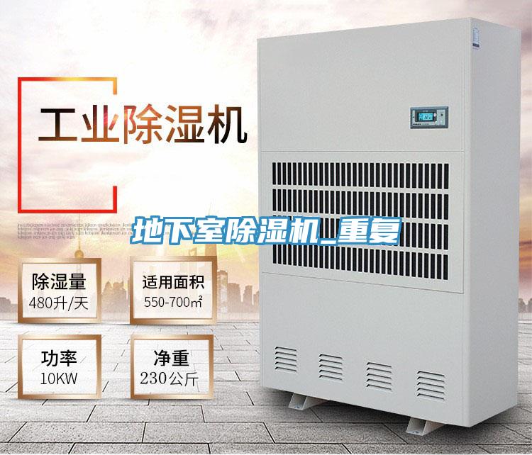 地下室PICACG哔咔官网入口_重複