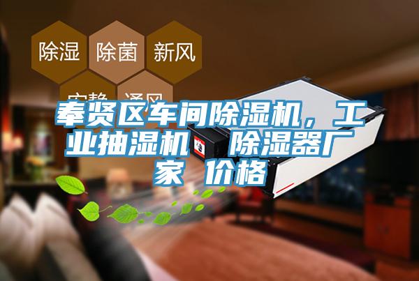 奉賢區車間PICACG哔咔官网入口，工業抽濕機  除濕器廠家 價格