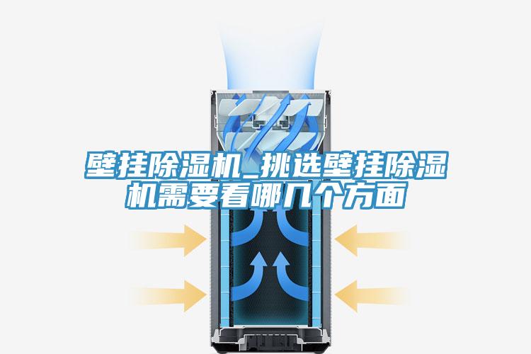 壁掛PICACG哔咔官网入口_挑選壁掛PICACG哔咔官网入口需要看哪幾個方麵