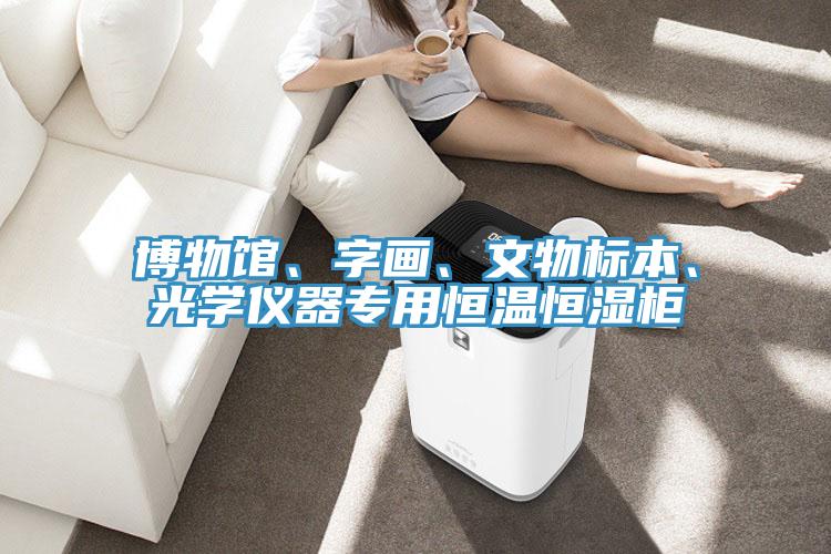 博物館、字畫、文物標本、光學儀器專用恒溫恒濕櫃