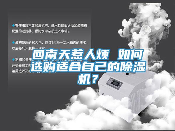 回南天惹人煩 如何選購適合自己的PICACG哔咔官网入口？