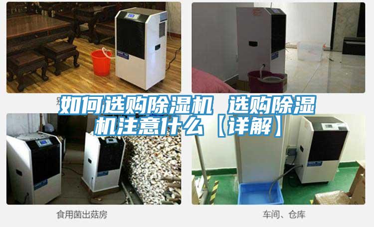 如何選購PICACG哔咔官网入口 選購PICACG哔咔官网入口注意什麽【詳解】