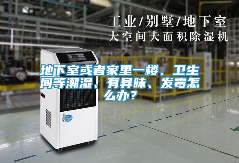 地下室或者家裏一樓、衛生間等潮濕、有異味、發黴怎麽辦？