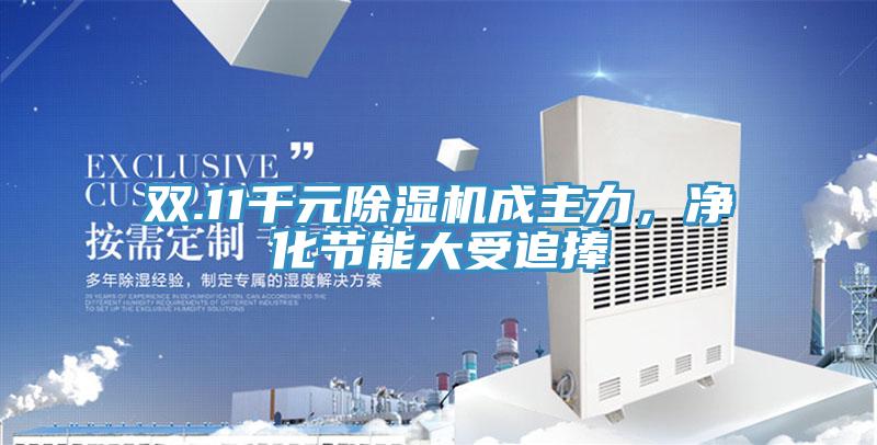 雙.11千元PICACG哔咔官网入口成主力，淨化節能大受追捧