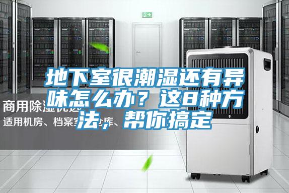 地下室很潮濕還有異味怎麽辦？這8種方法，幫你搞定