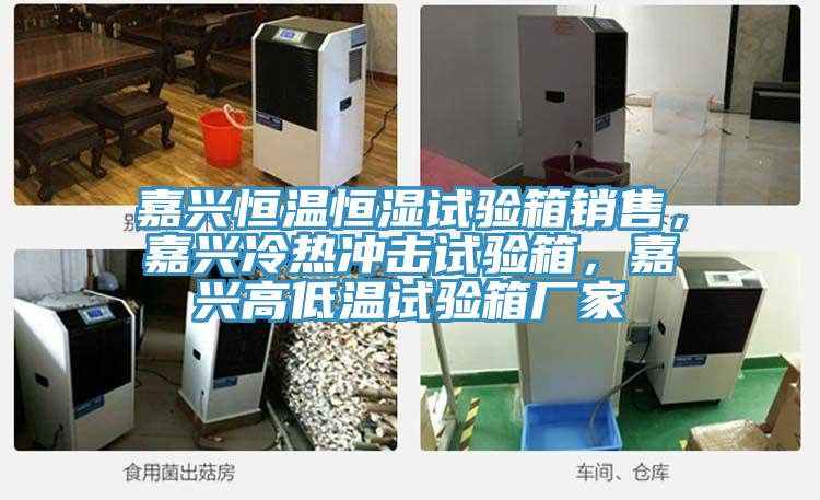 嘉興恒溫恒濕試驗箱銷售，嘉興冷熱衝擊試驗箱，嘉興高低溫試驗箱廠家