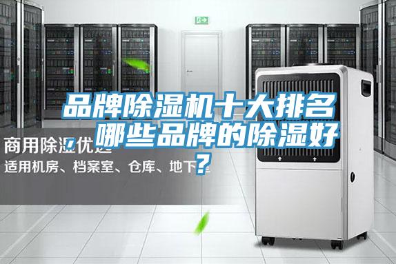 品牌PICACG哔咔官网入口十大排名，哪些品牌的除濕好？