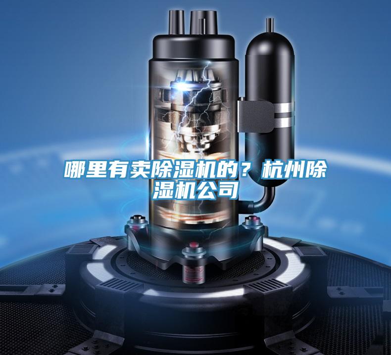 哪裏有賣PICACG哔咔官网入口的？杭州PICACG哔咔官网入口公司