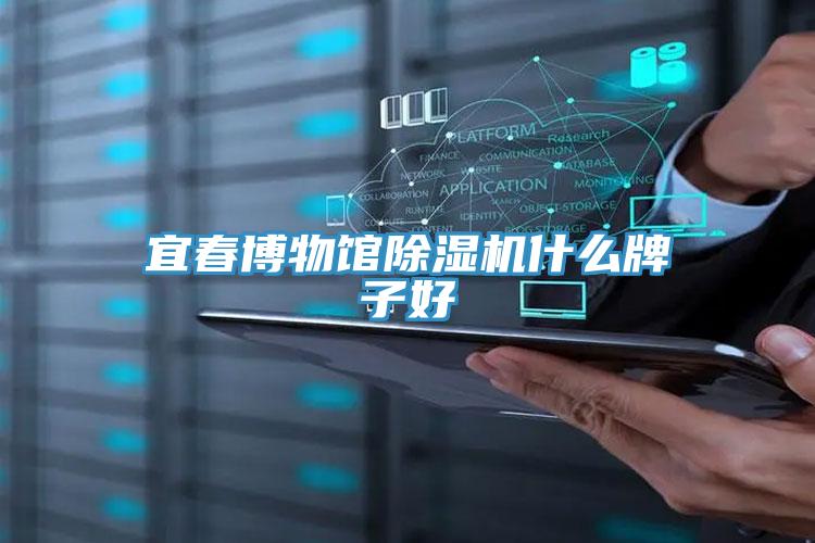 宜春博物館PICACG哔咔官网入口什麽牌子好