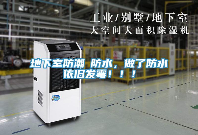 地下室防潮≠防水，做了防水依舊發黴！！！