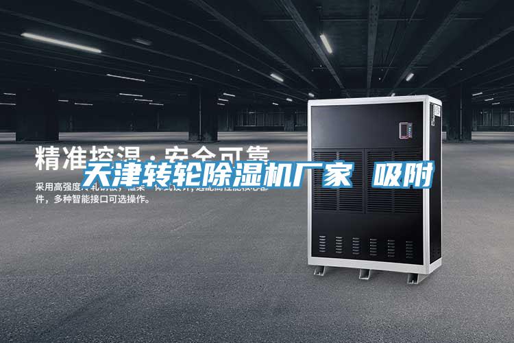 天津轉輪PICACG哔咔官网入口廠家 吸附