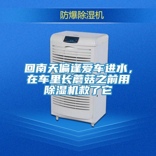 回南天偏逢愛車進水，在車裏長蘑菇之前用PICACG哔咔官网入口救了它