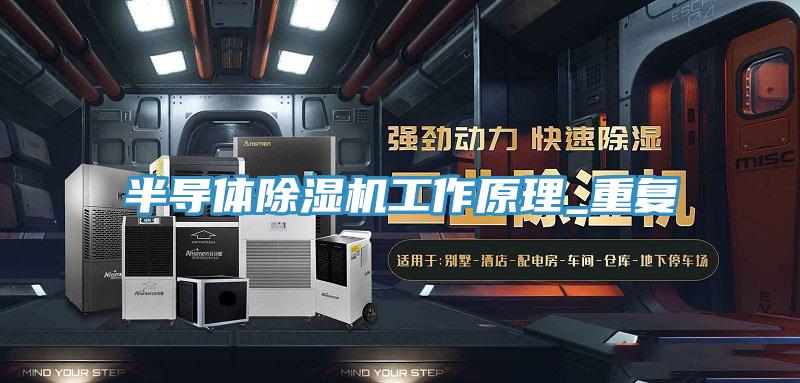 半導體PICACG哔咔官网入口工作原理_重複