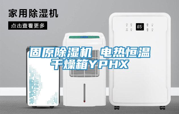 固原PICACG哔咔官网入口 電熱恒溫幹燥箱YPHX