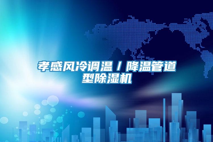 孝感風冷調溫／降溫管道型PICACG哔咔官网入口