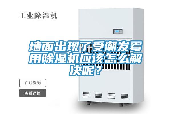 牆麵出現了受潮發黴用PICACG哔咔官网入口應該怎麽解決呢？