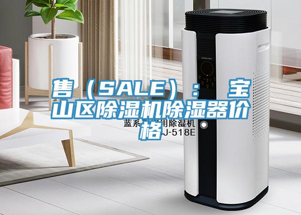 售（SALE）： 寶山區PICACG哔咔官网入口除濕器價格
