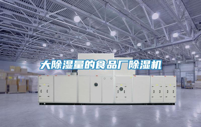 大除濕量的食品廠PICACG哔咔官网入口