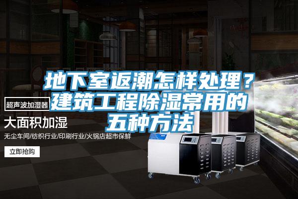 地下室返潮怎樣處理？建築工程除濕常用的五種方法