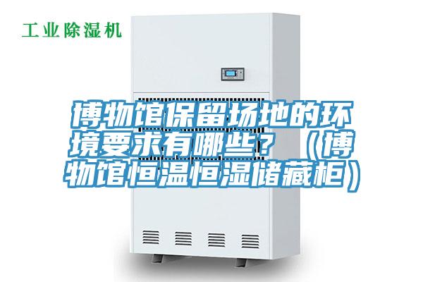 博物館保留場地的環境要求有哪些？（博物館恒溫恒濕儲藏櫃）