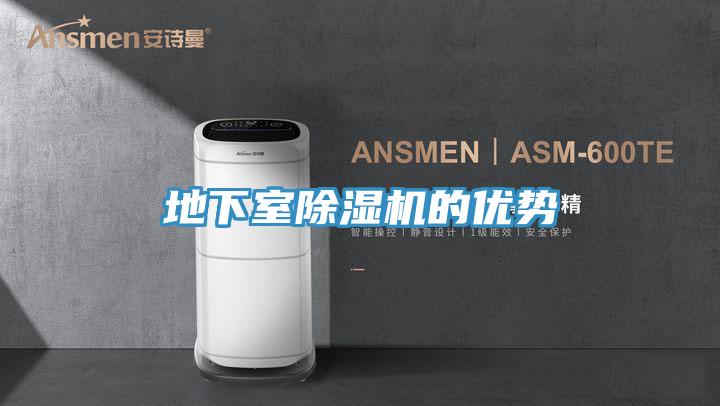 地下室PICACG哔咔官网入口的優勢