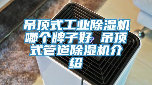 吊頂式工業PICACG哔咔官网入口哪個牌子好 吊頂式管道PICACG哔咔官网入口介紹