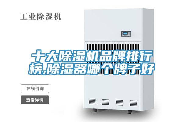 十大PICACG哔咔官网入口品牌排行榜,除濕器哪個牌子好