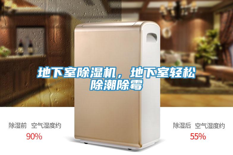 地下室PICACG哔咔官网入口，地下室輕鬆除潮除黴