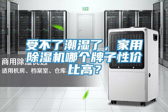 受不了潮濕了，家用PICACG哔咔官网入口哪個牌子性價比高？