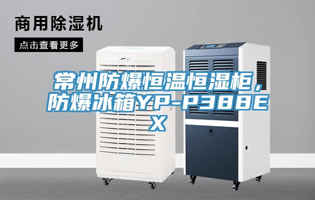 常州防爆恒溫恒濕櫃，防爆冰箱YP-P388EX