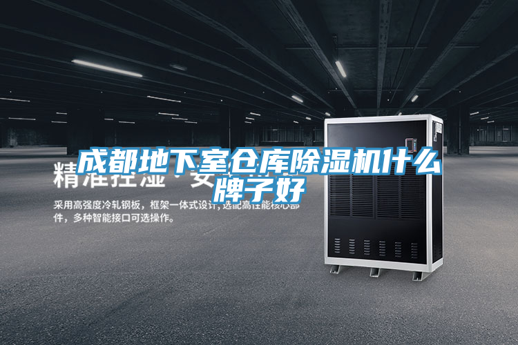 成都地下室倉庫PICACG哔咔官网入口什麽牌子好