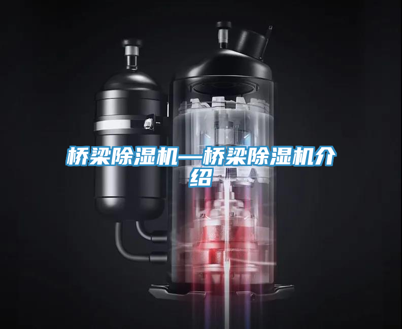 橋梁PICACG哔咔官网入口—橋梁PICACG哔咔官网入口介紹