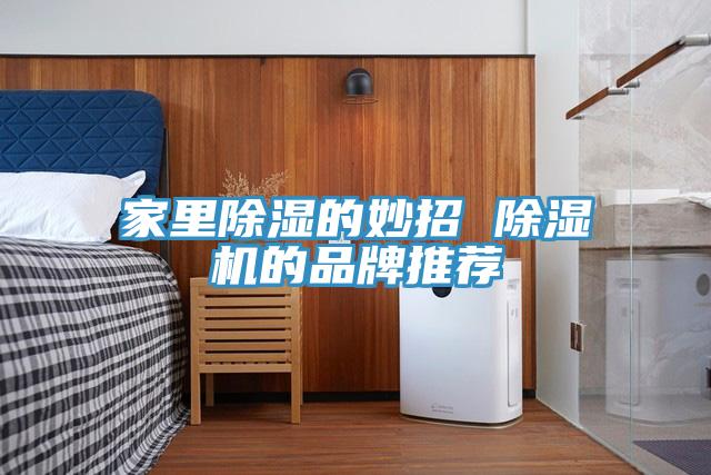 家裏除濕的妙招 PICACG哔咔官网入口的品牌推薦