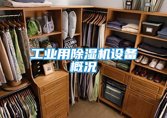 工業用PICACG哔咔官网入口設備概況