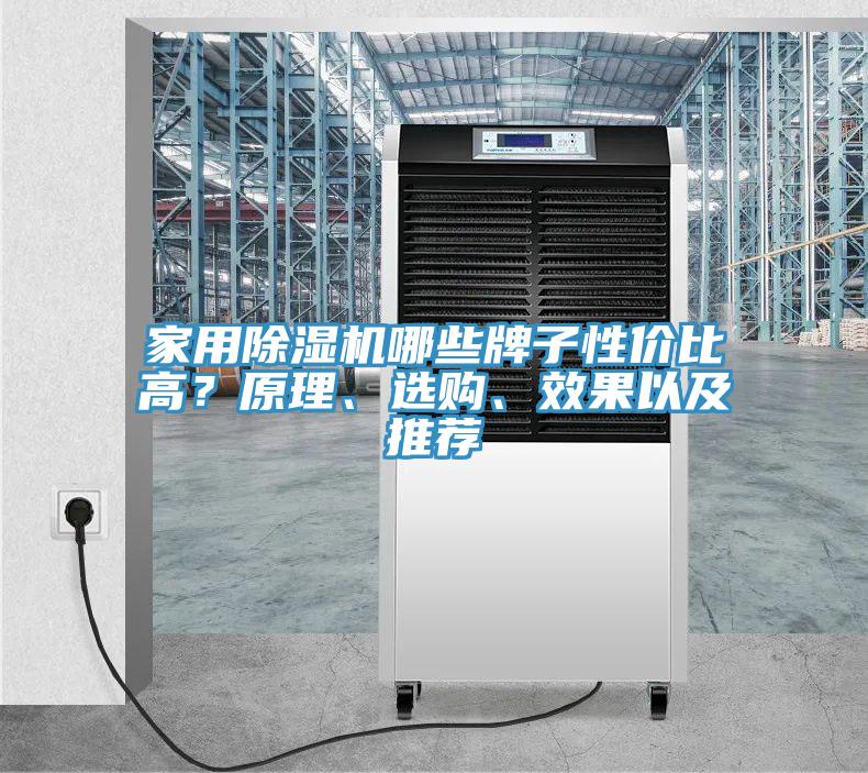 家用PICACG哔咔官网入口哪些牌子性價比高？原理、選購、效果以及推薦