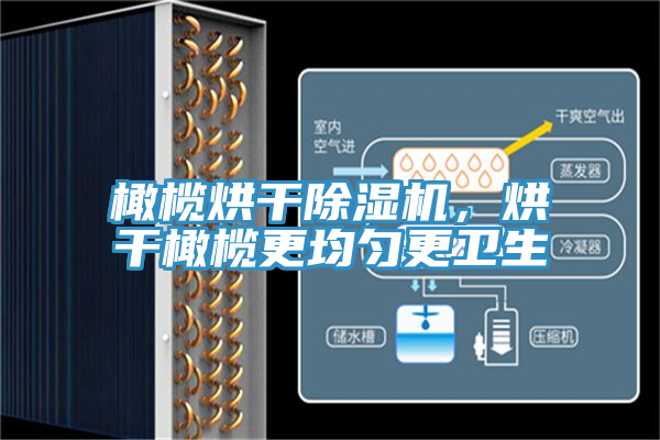 橄欖烘幹PICACG哔咔官网入口，烘幹橄欖更均勻更衛生