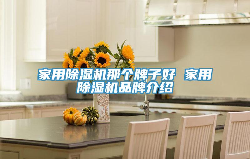 家用PICACG哔咔官网入口那個牌子好 家用PICACG哔咔官网入口品牌介紹