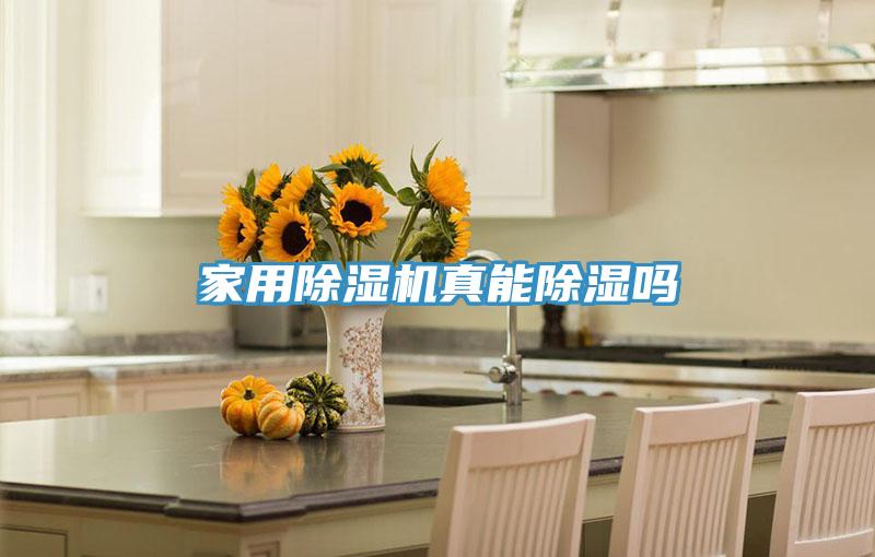 家用PICACG哔咔官网入口真能除濕嗎