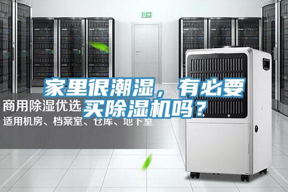 家裏很潮濕，有必要買PICACG哔咔官网入口嗎？