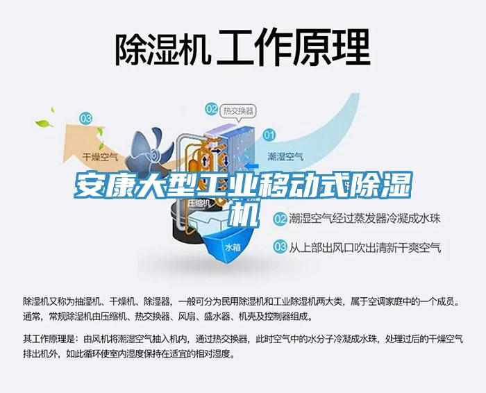 安康大型工業移動式PICACG哔咔官网入口