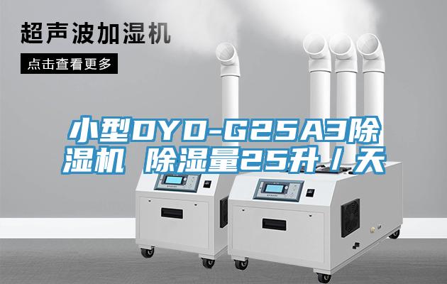小型DYD-G25A3PICACG哔咔官网入口 除濕量25升／天