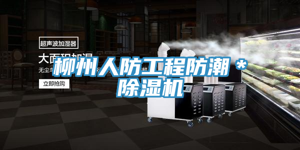 柳州人防工程防潮＊PICACG哔咔官网入口