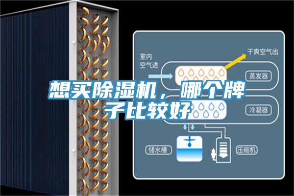 想買PICACG哔咔官网入口，哪個牌子比較好