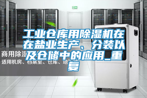 工業倉庫用PICACG哔咔官网入口在在鹽業生產、分裝以及倉儲中的應用_重複