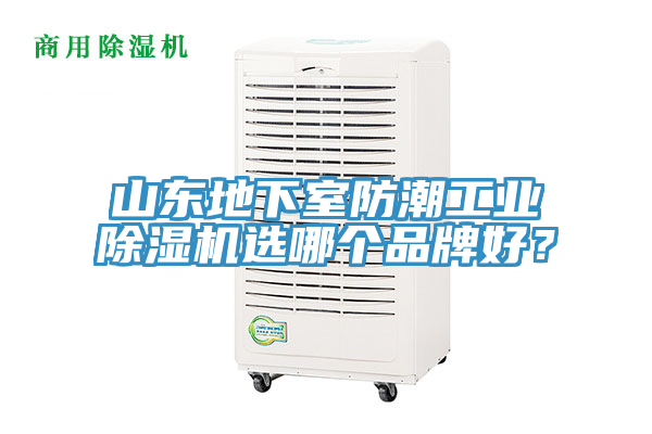 山東地下室防潮工業PICACG哔咔官网入口選哪個品牌好？