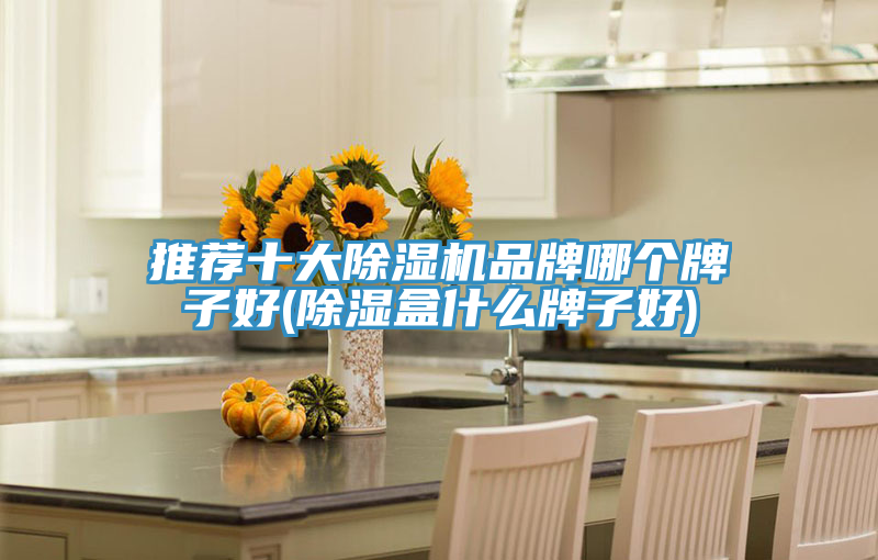 推薦十大PICACG哔咔官网入口品牌哪個牌子好(除濕盒什麽牌子好)