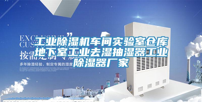 工業PICACG哔咔官网入口車間實驗室倉庫地下室工業去濕抽濕器工業除濕器廠家