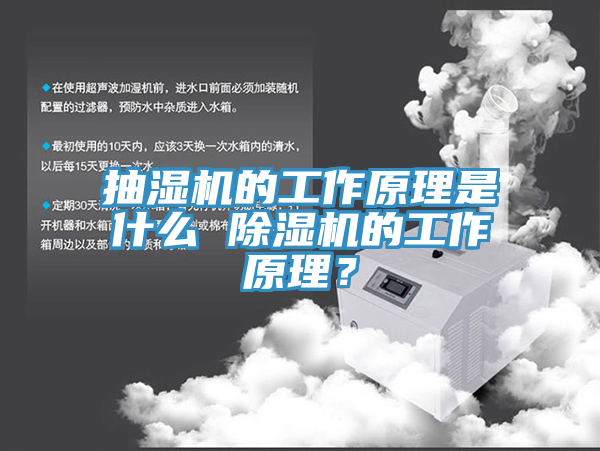 抽濕機的工作原理是什麽 PICACG哔咔官网入口的工作原理？